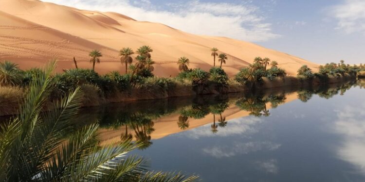 Oásis no litoral brasileiro está sendo engolido pela força do mar