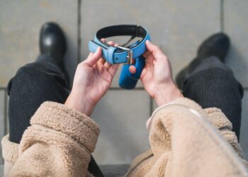 Nova raça de cachorro do Brasil é reconhecida no exterior e sua história passa por Mato Grosso do Sul