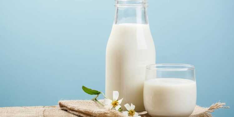 Fruta rica em potássio é também uma ótima alternativa ao leite