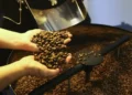Cidade que mais produz café no Brasil é também um lugar rico em fontes de água mineral