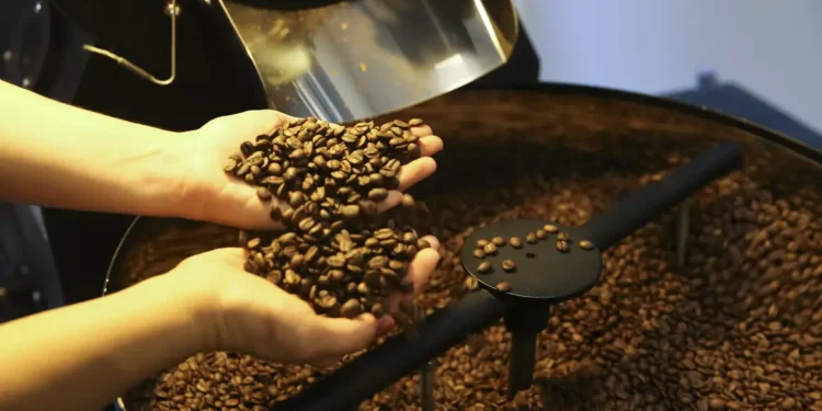 Cidade que mais produz café no Brasil é também um lugar rico em fontes de água mineral