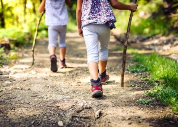 Paraíso com mais de 50 trilhas guarda pico de quase 2.800 metros no Brasil