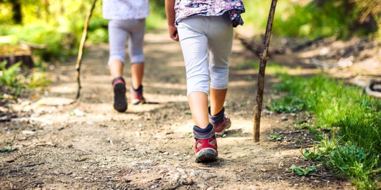Paraíso com mais de 50 trilhas guarda pico de quase 2.800 metros no Brasil