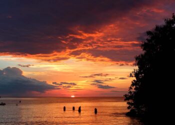 Revelado porque escurece mais tarde durante o verão