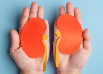 3 alimentos diários que atacam seus rins silenciosamente