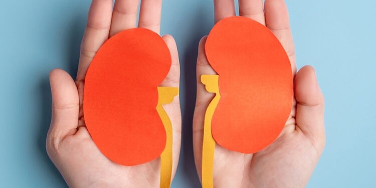 3 alimentos diários que atacam seus rins silenciosamente