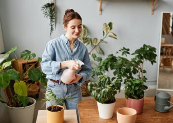 9 plantas para cultivar onde não pega muito sol