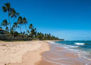 Pouca chuva na previsão do verão 2026 anima quem vai visitar as praias de Santa Catarina