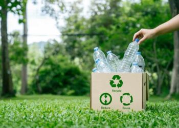 Projeto de reciclagem no litoral brasileiro pode render Pix para quem ajudar