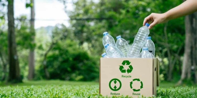 Projeto de reciclagem no litoral brasileiro pode render Pix para quem ajudar