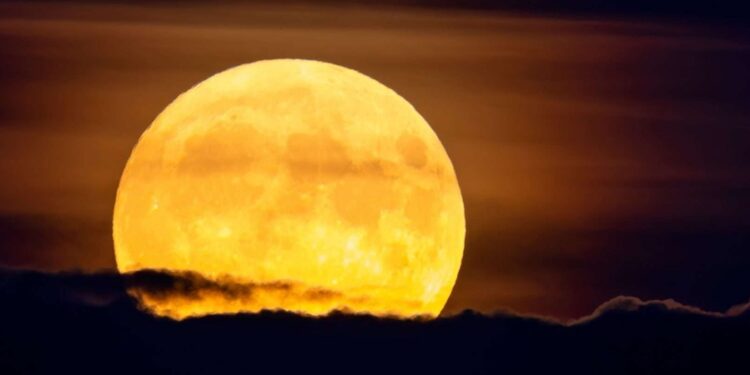 Lua Cheia chega nesta quarta-feira (5) transbordando dinheiro para 4 signos