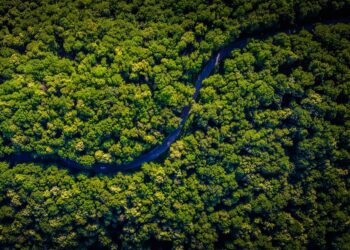 Cidade de 3,5 mil anos que conectava o Pacífico com a Amazônia é descoberta