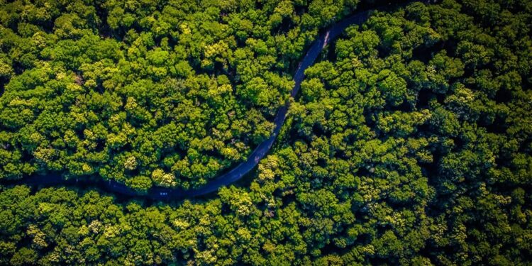 Cidade de 3,5 mil anos que conectava o Pacífico com a Amazônia é descoberta