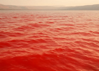 Estado brasileiro que hoje fica longe da praia já teve mar vermelho