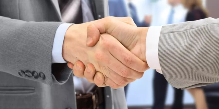 Fusão entre duas empresas vai criar a maior rede pet do Brasil com 515 lojas