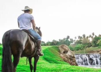 Cantor sertanejo possui uma das fazendas mais luxuosas do Brasil e acumula fortuna com Ferrari, Lamborghini e jatinho de R$ 40 milhões