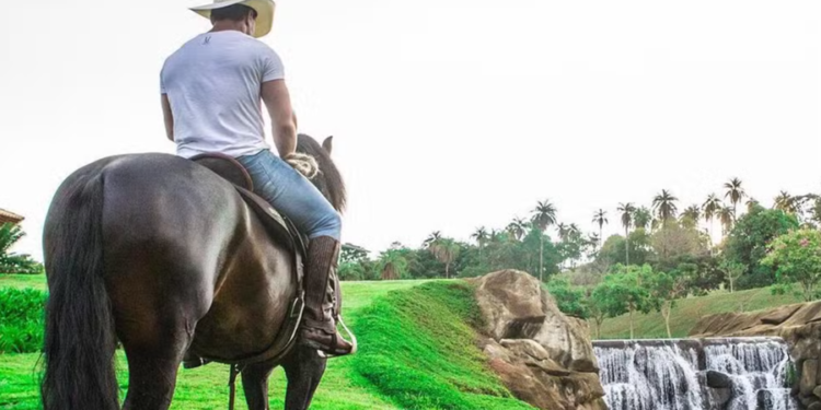 Cantor sertanejo possui uma das fazendas mais luxuosas do Brasil e acumula fortuna com Ferrari, Lamborghini e jatinho de R$ 40 milhões