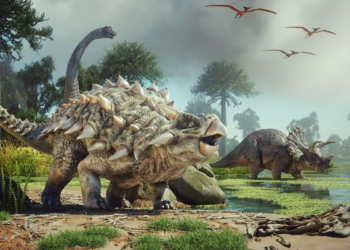 Pesquisadores descobrem a presença de dinossauros em plena Amazônia brasileira