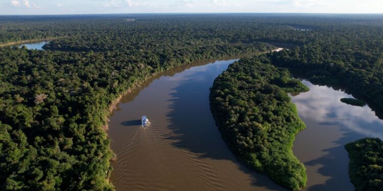 Pesquisadores que estavam em expedição na Amazônia foram surpreendidos por animal de 8 metros