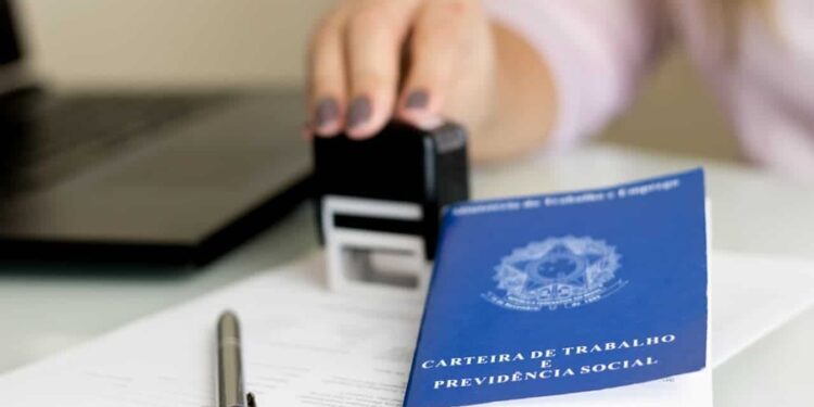 Revelado o maior salário que dá para ganhar como CLT no Brasil em 2025