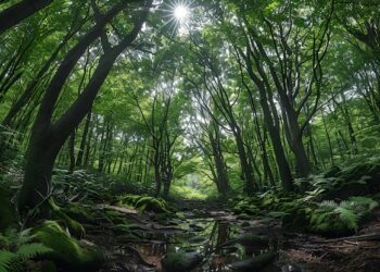 Maior bovino do planeta tem dimensões colossais, é mais alto que jogadores de basquete e vive na floresta