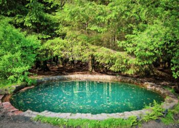Destino que bate de frente com Bonito tem piscinas naturais de água doce que não deixam as pessoas afundarem