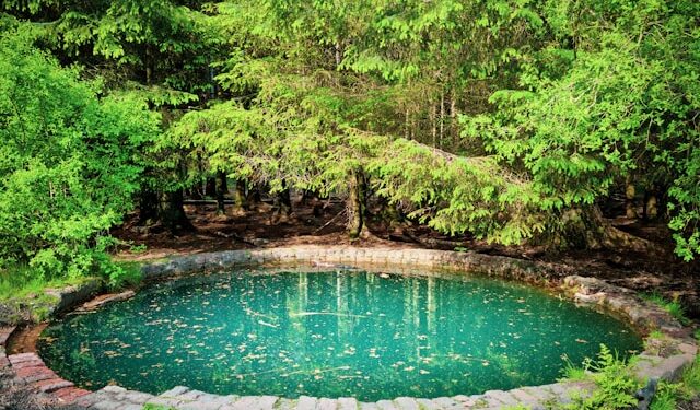 Destino que bate de frente com Bonito tem piscinas naturais de água doce que não deixam as pessoas afundarem