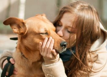 Cachorros não figuram mais na primeira colocação entre os animais mais fiéis do mundo