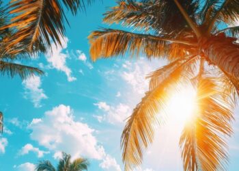 Novo fenômeno climático promete deixar o próximo verão bem diferente do que estávamos acostumados