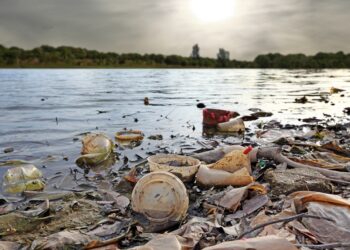 Rio mais poluído do Brasil ganha cara nova sem mau cheiro e tem até passeio de barco
