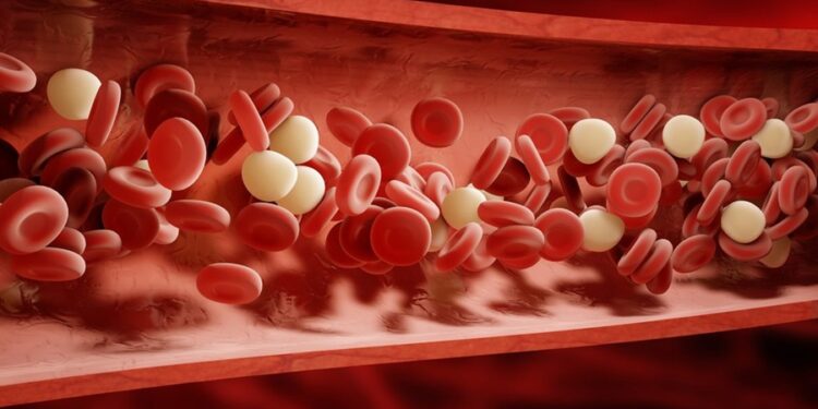 Cientistas identificam novo tipo sanguíneo tão raro que existe em apenas 3 pessoas