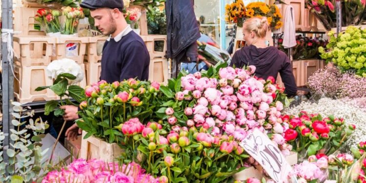 Floriculturas estão ganhando muito dinheiro com planta que chegou para substituir as tradicionais árvores de Natal