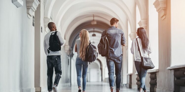 Governo pode usar receita de bets para criar novo modelo de universidade federal