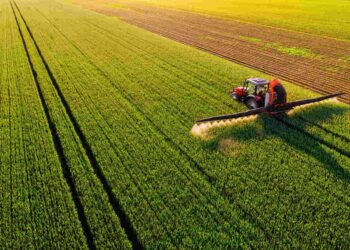 10 cidades mais ricas do Brasil quando assunto é agronegócio: municípios do Mato Grosso dominam