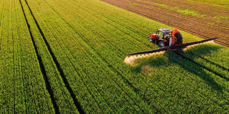 10 cidades mais ricas do Brasil quando assunto é agronegócio: municípios do Mato Grosso dominam