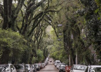 Rua mais bonita do mundo fica no Brasil e nem parece estar numa grande cidade