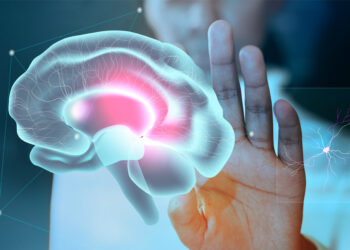 Cientistas podem ter encontrado forma de compreender todo o cérebro humano