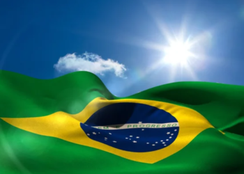 Espécie trazida ao Brasil há quase 600 anos corre sério risco de extinção mesmo sendo um símbolo nacional