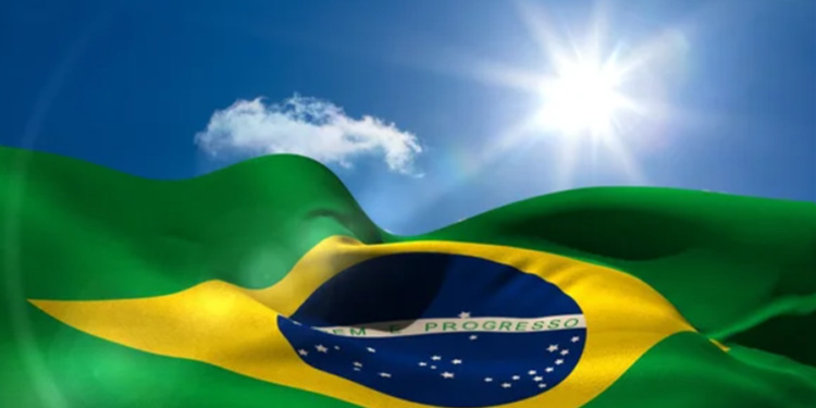 Espécie trazida ao Brasil há quase 600 anos corre sério risco de extinção mesmo sendo um símbolo nacional