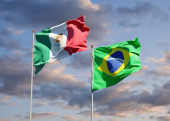 Créditos: Freepik