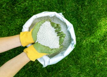 Fábrica de R$ 110 milhões que vai começar a operar em 2026 produzirá 4 mil toneladas de amônia verde