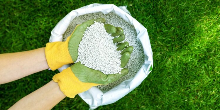 Fábrica de R$ 110 milhões que vai começar a operar em 2026 produzirá 4 mil toneladas de amônia verde