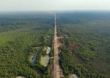 Capitais brasileiras são conectadas por rodovia de 865 km que passa pela floresta