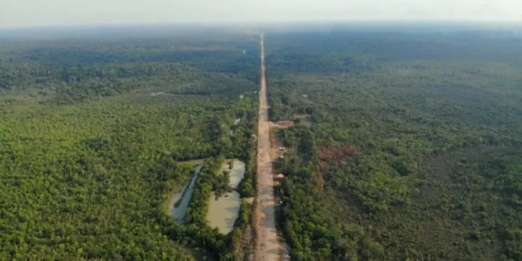 Capitais brasileiras são conectadas por rodovia de 865 km que passa pela floresta