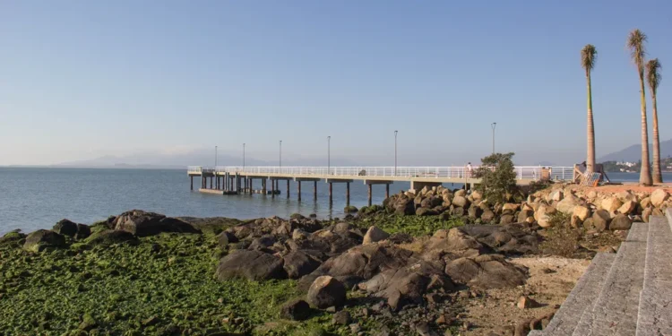 Melhor cidade do Brasil para ganhar dinheiro com aluguel não deixa moradores de rua incomodar nos imóveis