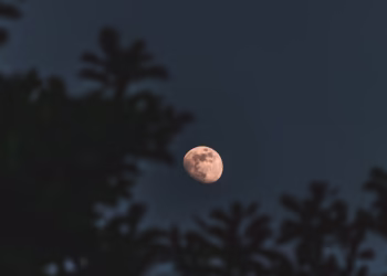 Primeira Lua Nova de 2026 chega salvando a vida financeira de 4 signos