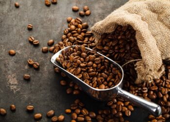 Produtores de café já estão comemorando acordo do Mercosul com a União Europeia