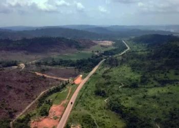 Rodovia mais importante para o agronegócio brasileiro é também uma das mais longas do país