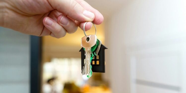 Novo ‘CPF’ adotado no Brasil pode interferir diretamente na cobrança de impostos