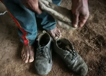 Governo resgata mais de 2.700 pessoas em condições de trabalho análogas à escravidão no Brasil somente em 2025